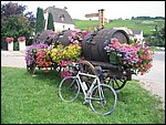 IMG_3313_redimensionner.JPG