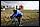 IMG_1172_redimensionner.JPG