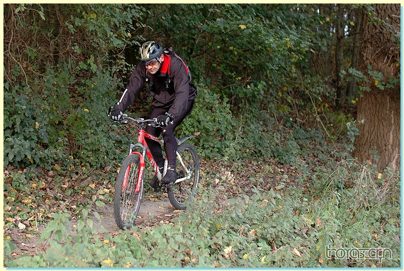 Jubaru_ VTT132.jpg