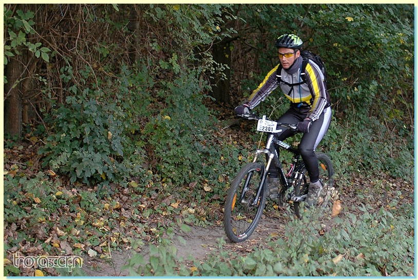Jubaru_ VTT191.jpg