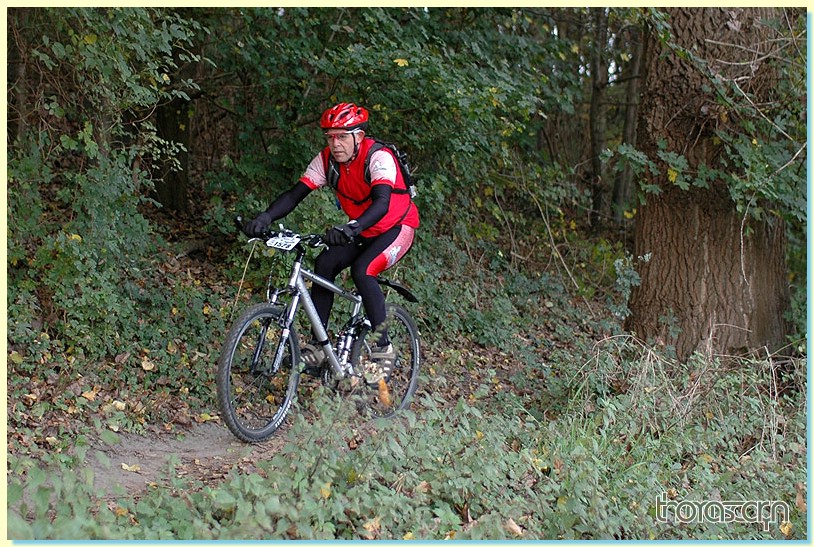 Jubaru_ VTT208.jpg