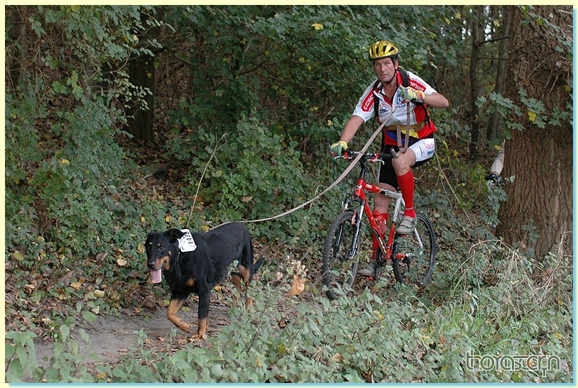 Jubaru_ VTT230.jpg