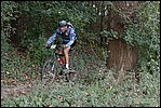 Jubaru_ VTT013.jpg