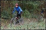 Jubaru_ VTT049.jpg