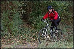 Jubaru_ VTT055.jpg