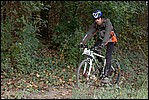 Jubaru_ VTT070.jpg