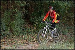 Jubaru_ VTT072.jpg