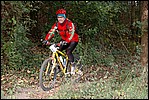 Jubaru_ VTT092.jpg