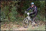 Jubaru_ VTT102.jpg