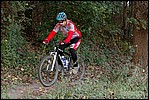 Jubaru_ VTT119.jpg