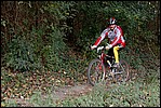 Jubaru_ VTT127.jpg