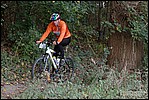 Jubaru_ VTT190.jpg