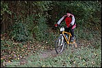 Jubaru_ VTT206.jpg