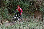 Jubaru_ VTT208.jpg