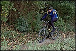 Jubaru_ VTT246.jpg