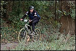 Jubaru_ VTT250.jpg