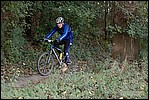 Jubaru_ VTT257.jpg