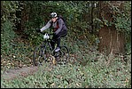 Jubaru_ VTT265.jpg