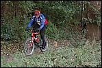 Jubaru_ VTT271.jpg