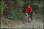 Jubaru_ VTT275.jpg