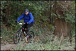 Jubaru_ VTT281.jpg