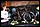 IMG_0232_redimensionner.JPG