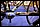 IMG_0283_redimensionner.JPG