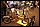 IMG_0318_redimensionner.JPG
