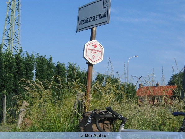 IMG_2926_redimensionner.JPG