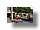 IMG_8240_redimensionner.JPG