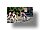 IMG_8243_redimensionner.JPG