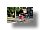 IMG_8247_redimensionner.JPG