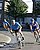 IMG_8160_redimensionner.JPG