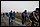 IMG_1440_redimensionner.JPG