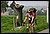 IMG_2702_redimensionner.JPG