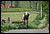 IMG_2747_redimensionner.JPG