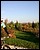 IMG_8575_redimensionner.JPG