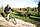IMG_8626_redimensionner.JPG
