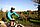 IMG_8700_redimensionner.JPG