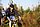 IMG_8738_redimensionner.JPG