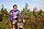 IMG_8743_redimensionner.JPG