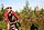 IMG_8745_redimensionner.JPG