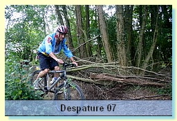 despa0106.jpg