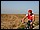 IMG_7780_redimensionner.JPG
