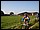 IMG_7792_redimensionner.JPG