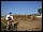IMG_7804_redimensionner.JPG
