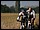 IMG_7819_redimensionner.JPG
