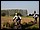 IMG_7863_redimensionner.JPG